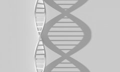 酒窝像爸鼻子像妈？肚子里宝宝到底像谁？