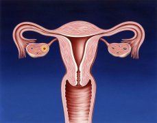 诱导排卵相关的临床研究