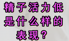 精子活力低是什么样的表现？