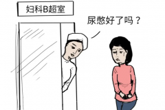 胚胎移植关键一步：B超分段式科学憋尿,提升着床