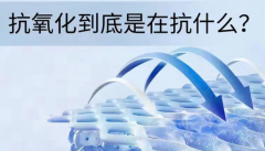 养护卵巢、调节内分泌的食物分类